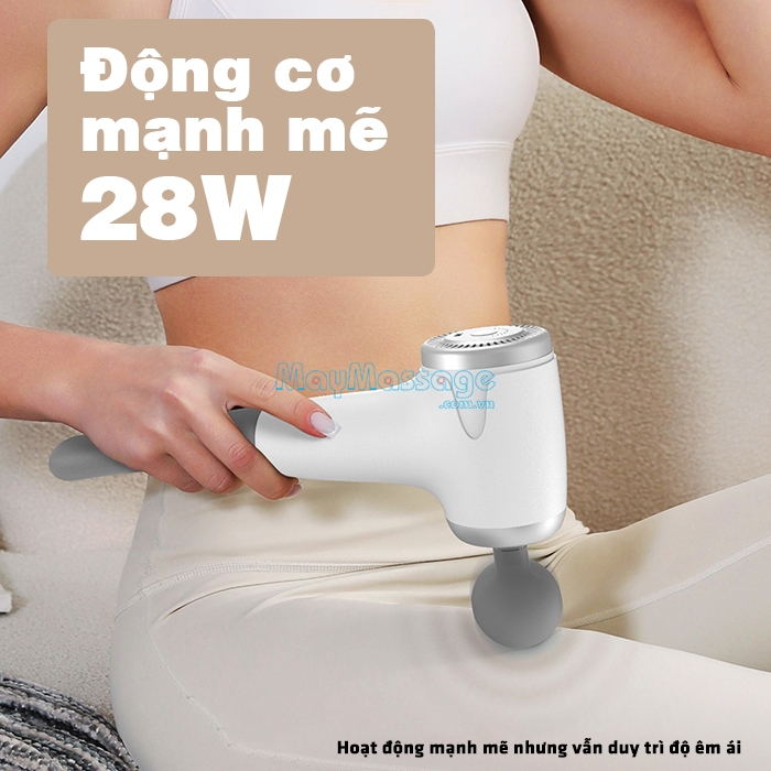 Máy massage cầm tay động cơ mạnh mẽ Puli PL-629