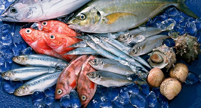 Bổ sung các loại cá giúp duy trì chất đạm và giảm cân tốt nhất