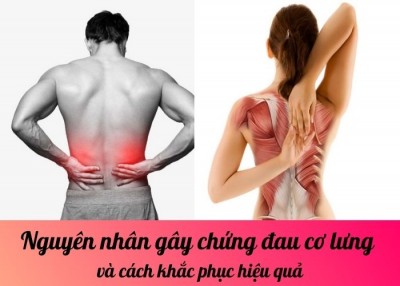 Nguyên nhân gây chứng đau cơ lưng và cách khắc phục hiệu quả
