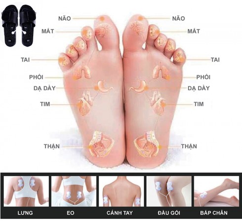 Máy massage xung điện 4 vùng massage và đôi dép trị liệu bàn chân Nikio NK-105