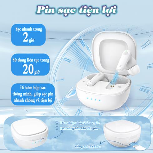 Máy trợ thính cho người điếc nặng FUNMIC EN-D22